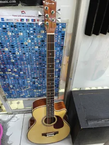 Full-size 5-string acoustic bass guitar with cutaway body, built-in EQ preamp, natural wood finish, and extended low B string for live performance and recording